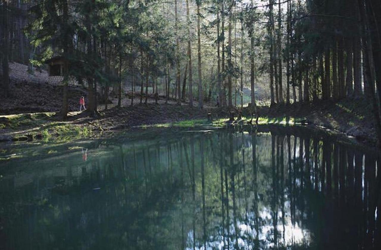 Ferienhaus "Baeren Ecke" Am See Im Bergland Kirchheim  Eksteriør bilde